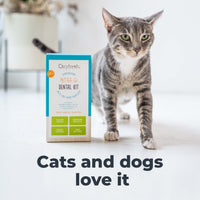 Oxyfresh Pet Dental Kit - Small (Travel Size) & Large
