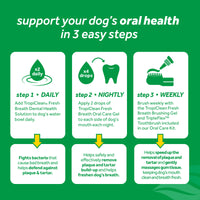 Dental Water Additive For Cats