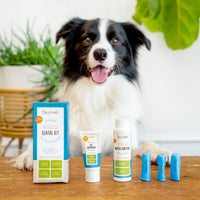 Oxyfresh Pet Dental Kit - Small (Travel Size) & Large