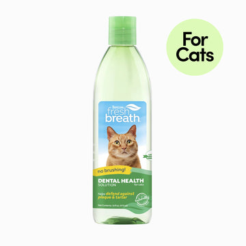 Dental Water Additive For Cats