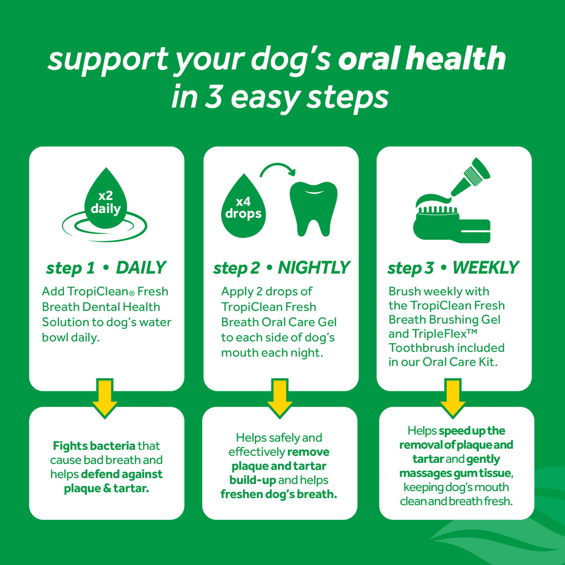 Dental Water Additive For Dogs